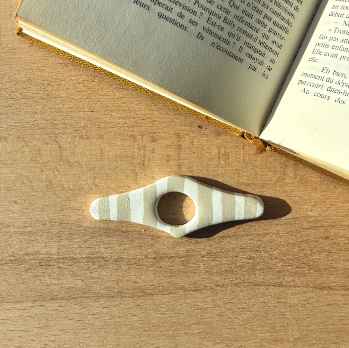 Bague_de_lecture_Hummus_bombee
