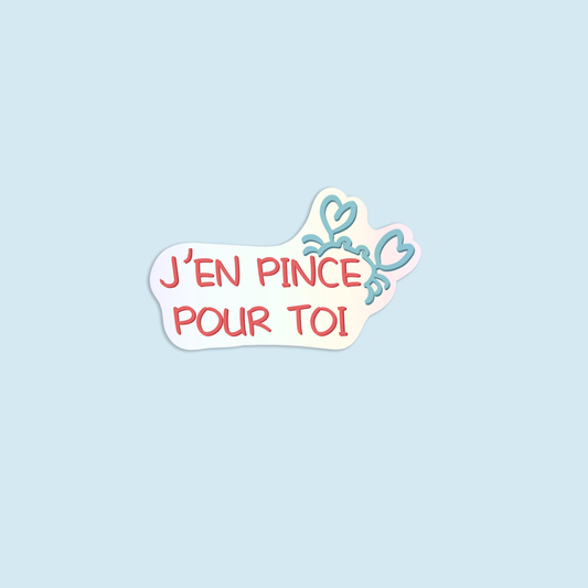 Stickers •EXPRESSION SALÉE• J'en pince pour toi